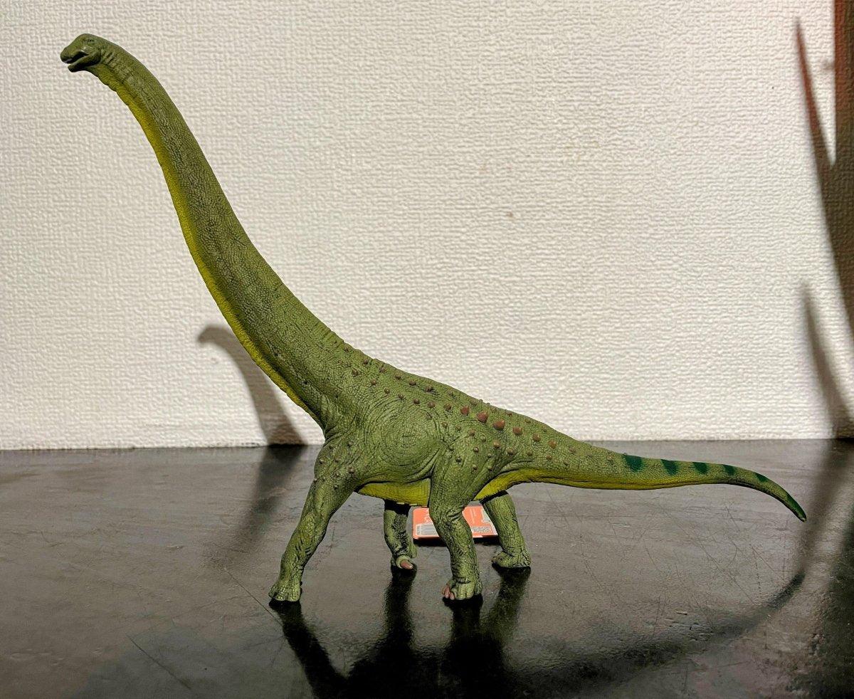 Dreadnoughtus CollectA Figure - Unleash Prehistoric Power! - Bamsedyra AS