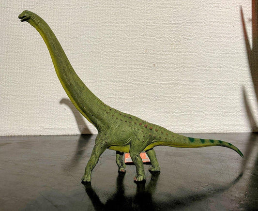 Dreadnoughtus CollectA Figure - Unleash Prehistoric Power! - Bamsedyra AS
