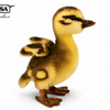 Stokkandunge Bamse | Hansa Creation | 14cm