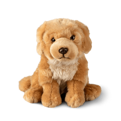 Golden Retriever Plush Toy | Living Nature - Bamsedyra AS