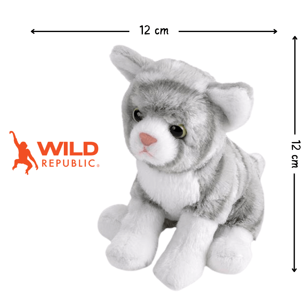 Pocketkins Eco Cat Plush 12cm | Wild Republic - Bamsedyra AS
