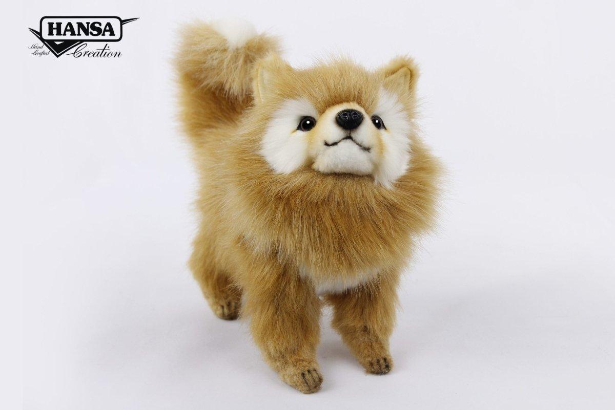 Pomeranian Hund Kosedyr 23 cm | Hansa Creation - Bamsedyra AS