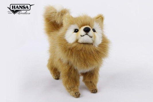 Pomeranian Hund Kosedyr 23 cm | Hansa Creation - Bamsedyra AS
