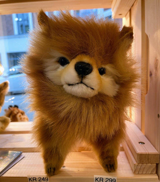 Pomeranian Hund Kosedyr 23 cm | Hansa Creation - Bamsedyra AS