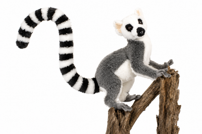 Lemur Bamse | Hansa Creation | 30cm