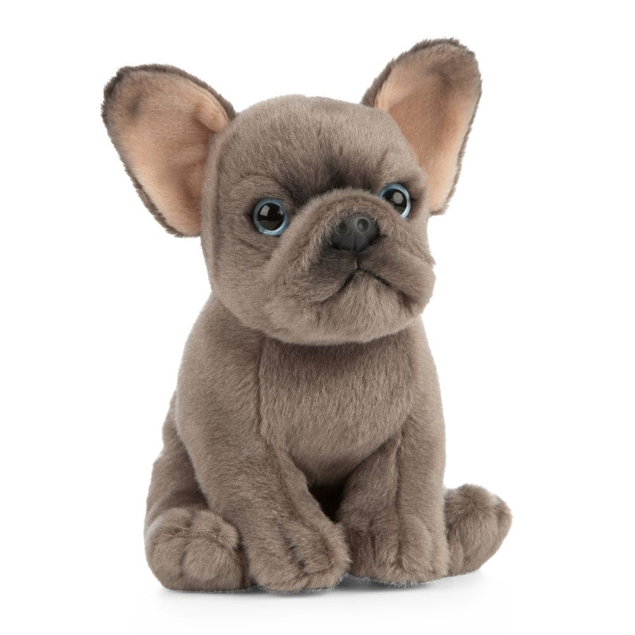 Living Nature Fransk Bulldog Valp Kosedyr – sidevisning 2 med tydelige proporsjoner
