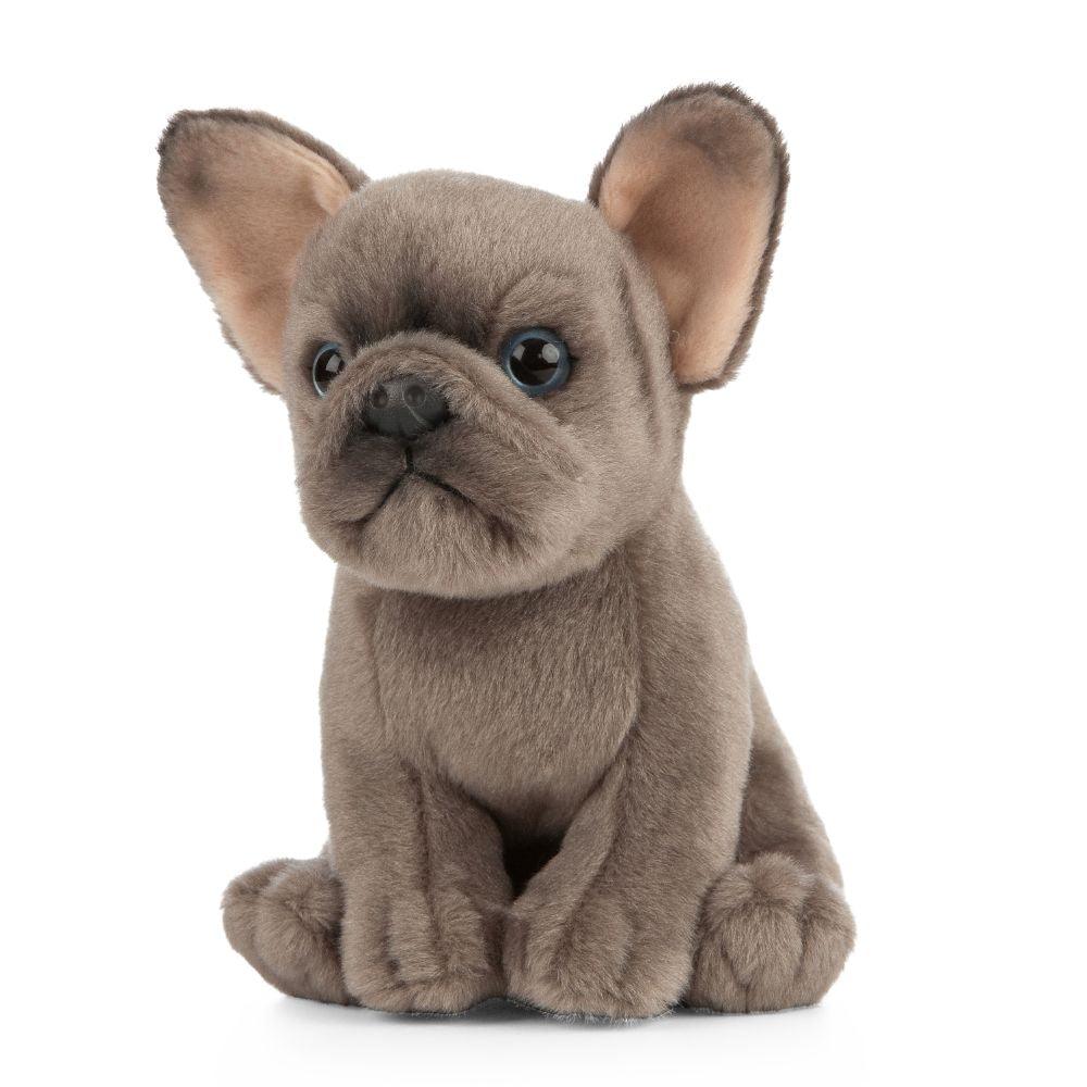 Fransk Bulldog Valp Kosedyr | Living Nature - Bamsedyra AS