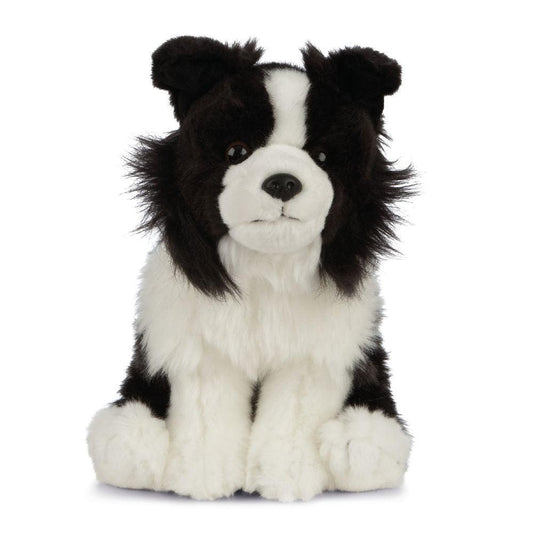 Hund Bamse Border Collie | Living Nature - Bamsedyra AS