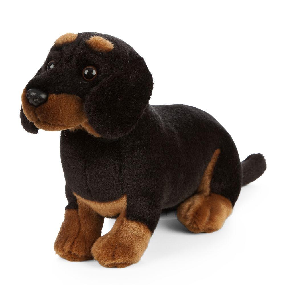 Hund Bamse Dachshund | Living Nature - Bamsedyra AS