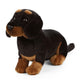 Hund Bamse Dachshund | Living Nature - Bamsedyra AS