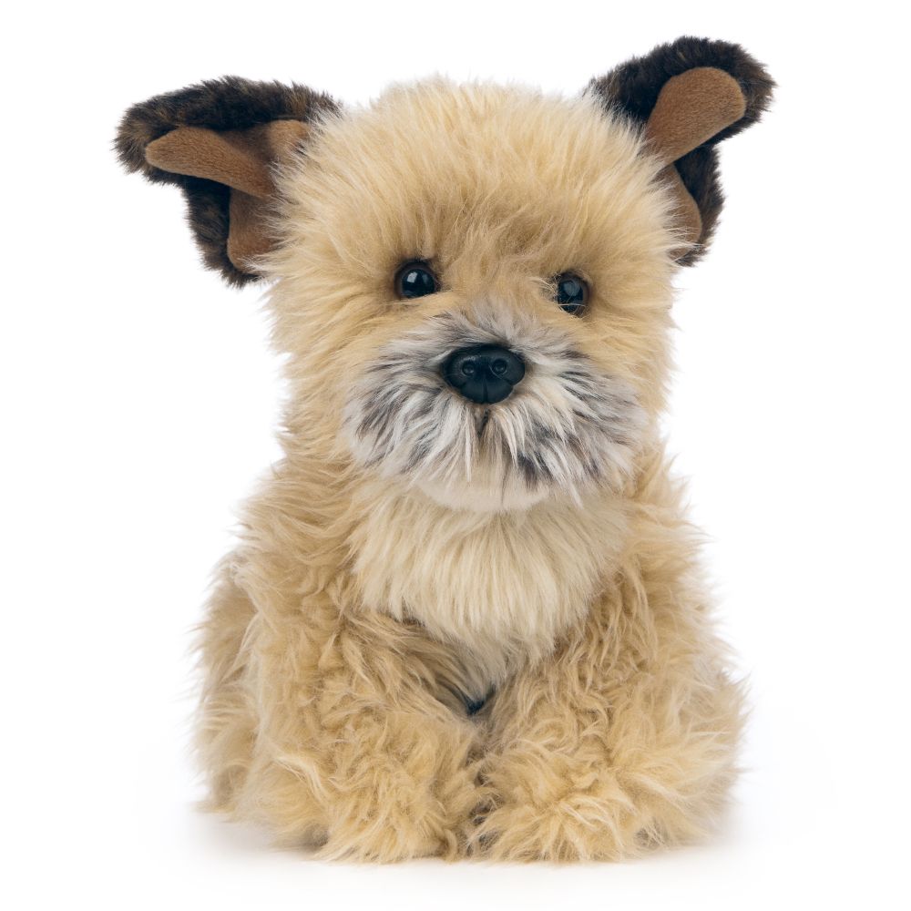 Hund Kosedyr Border Terrier | Living Nature