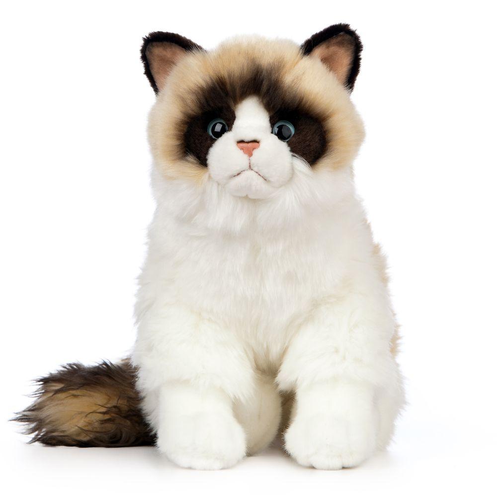 Katt Kosedyr Ragdoll | Living Nature - Bamsedyra AS