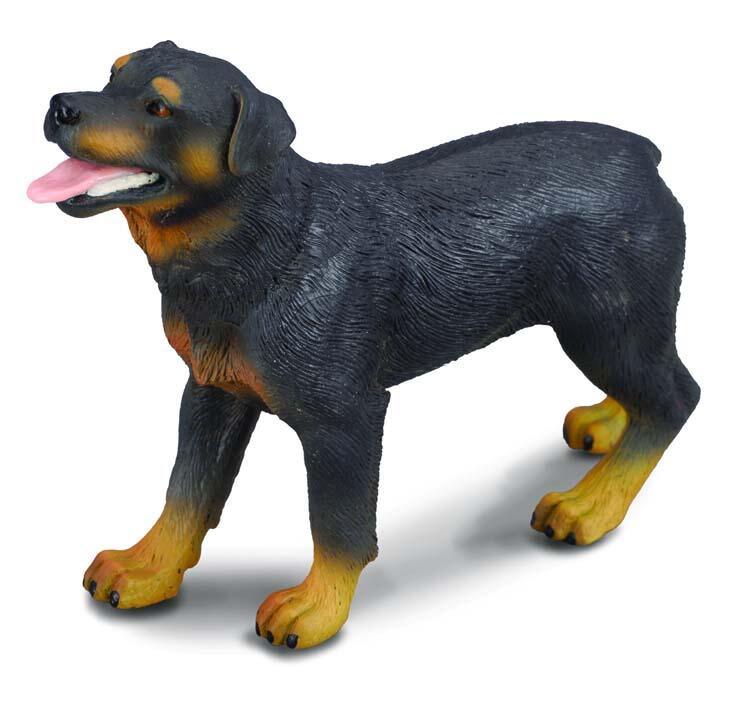 Rottweiler Figure - CollectA - Bamsedyra AS