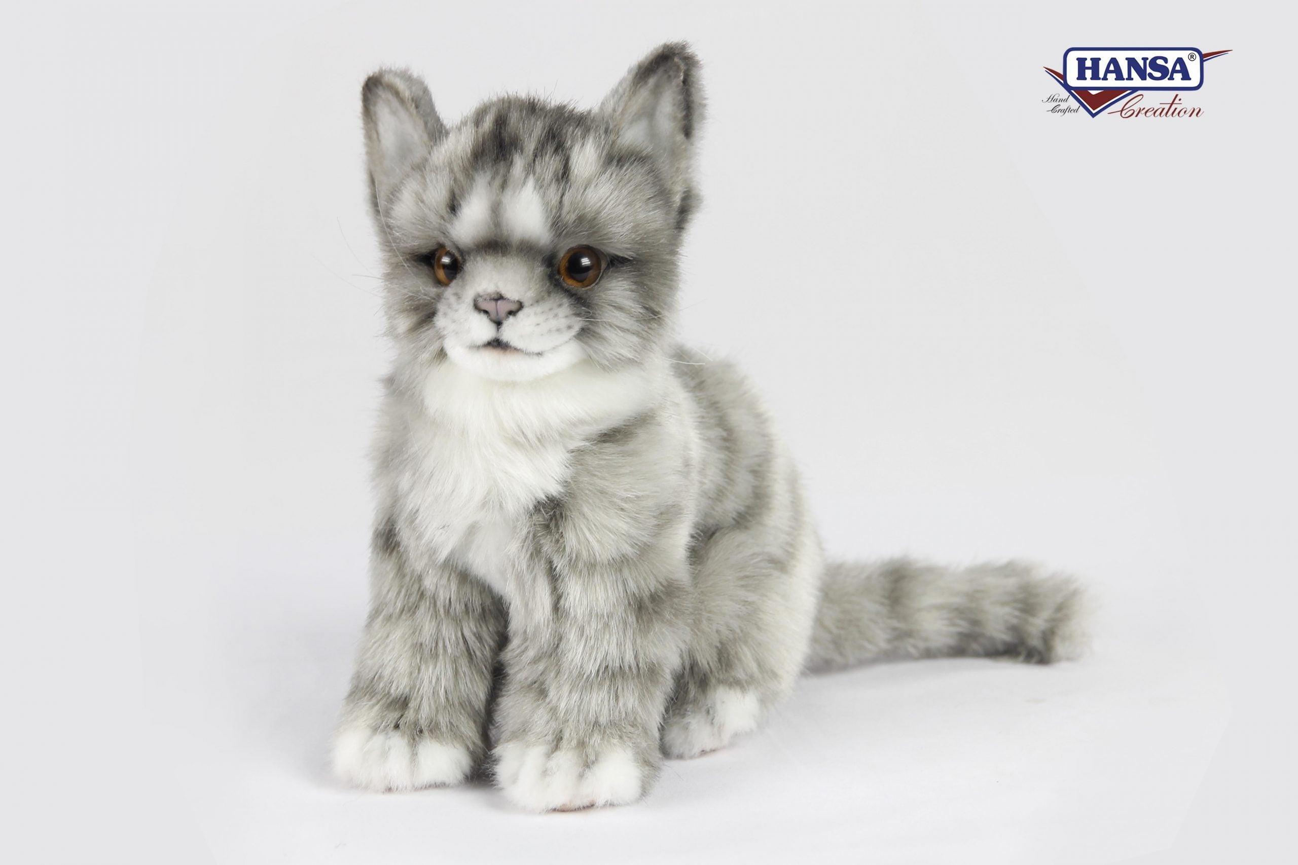 Katt Kosedyr - Bamsedyra AS