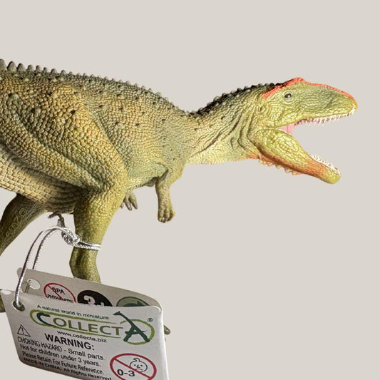 Mapusaurus Dinosaur Figur | CollectA