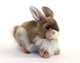 Realistic Bunny Plush