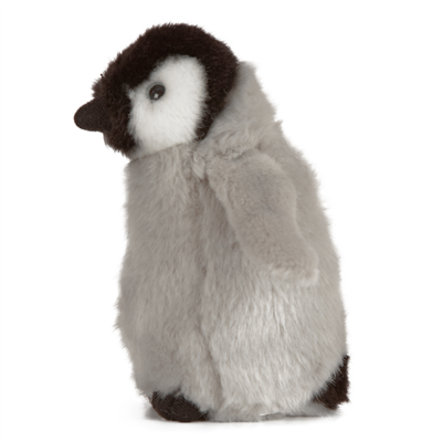 Penguin Chick | Living Nature