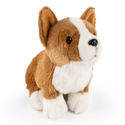 Corgi Hund Kosedyr | Living Nature - Bamsedyra AS