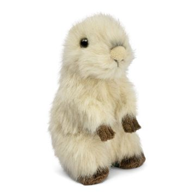 Capybara Baby Bamse