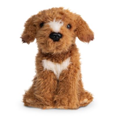 Labradoodle Hund Kosedyr (Brun) | Living Nature