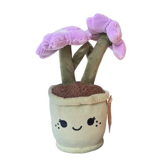 Plysjblomst i potte 18 cm – 3 varianter (rosa/gul/lilla) | Take Me Home