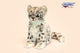 Snow Leopard Cub Plush - 19 cm by Hansa Creation - Coming 01.11.24