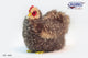 Chicken teddy (brown) Hansa Creation (28cm)