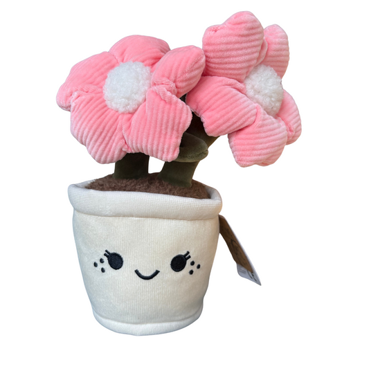 Plysjblomst i potte 18 cm – 3 varianter (rosa/gul/lilla) | Take Me Home