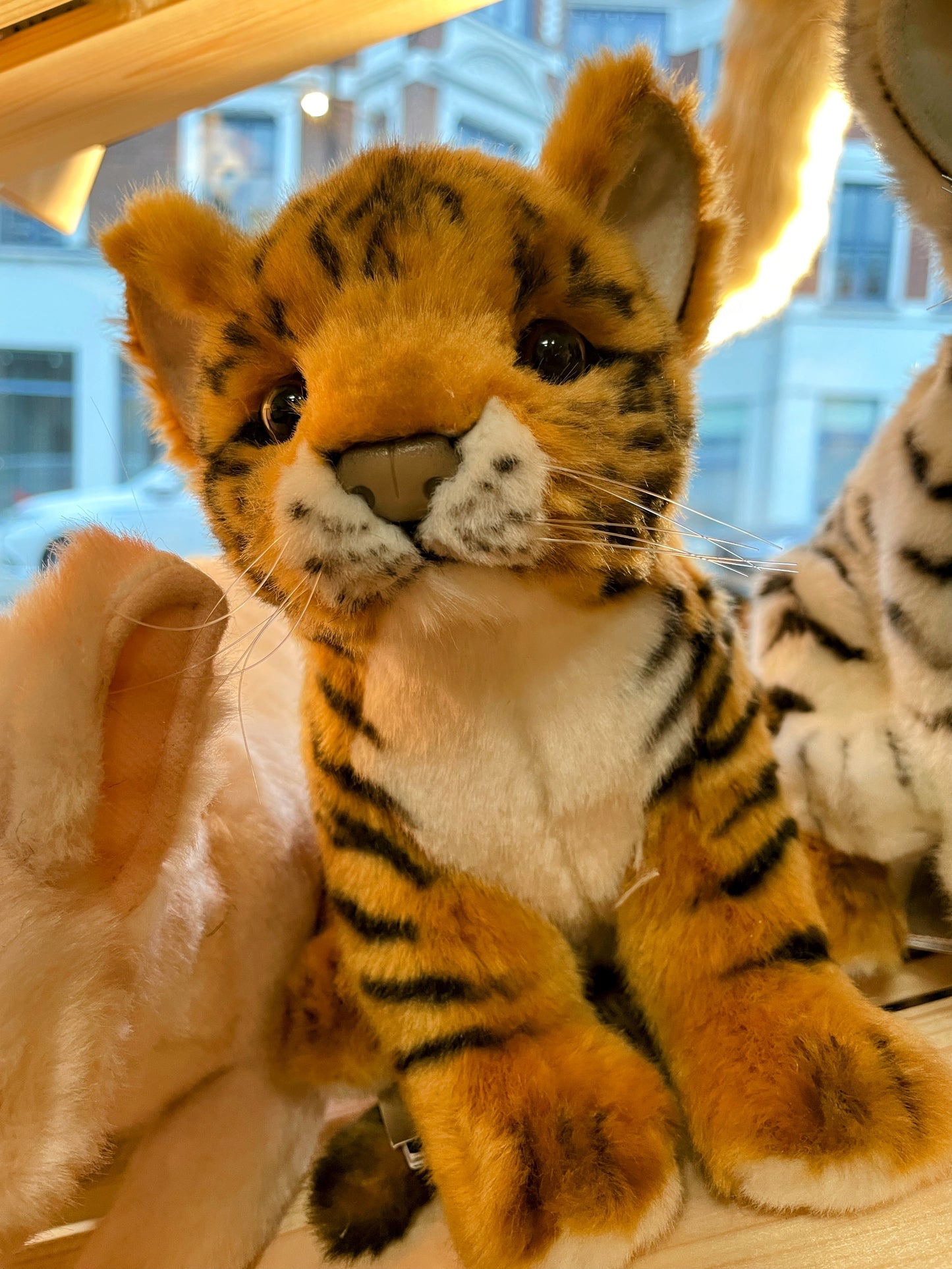 Tiger Cub Plush - 28 cm by Hansa Creation - Coming 01.11.24