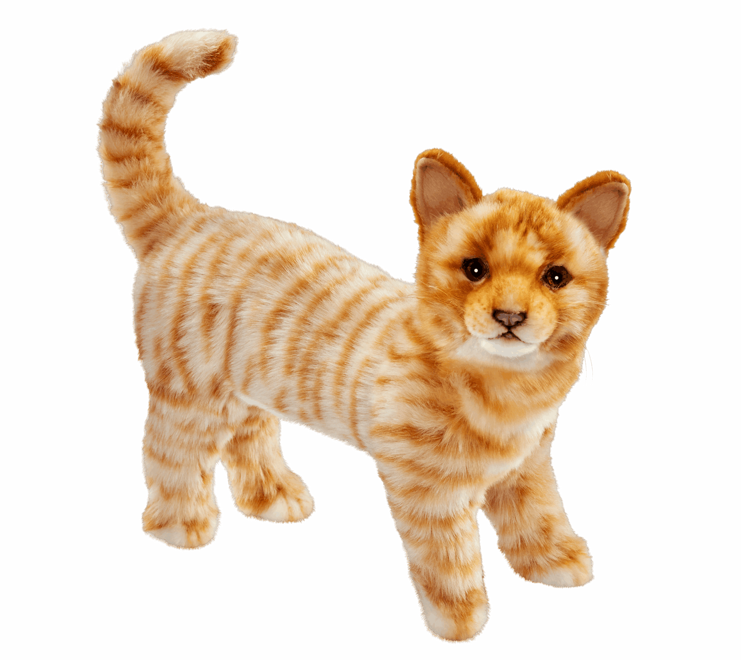 Oransje katt kosedyr 25 cm – stående | Hansa Creation