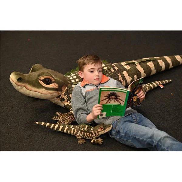 Stort Kosedyr Alligator 175 cm | Wild Republic - Bamsedyra AS