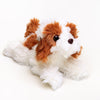 Hund Bamse Vicky Spaniel | Hilda - Bamsedyra AS