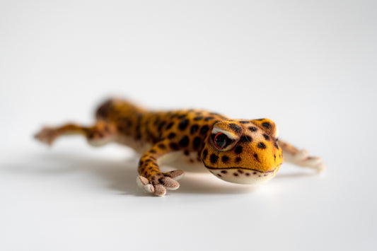 Leopard Gecko 26 cm | Hansa Creation
