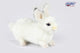 Sweet Hansa Creation 20cm Crouching White Bunny Plush Toy - Realistic and Adorable Rabbit Stuffed Animal - Bamsedyra