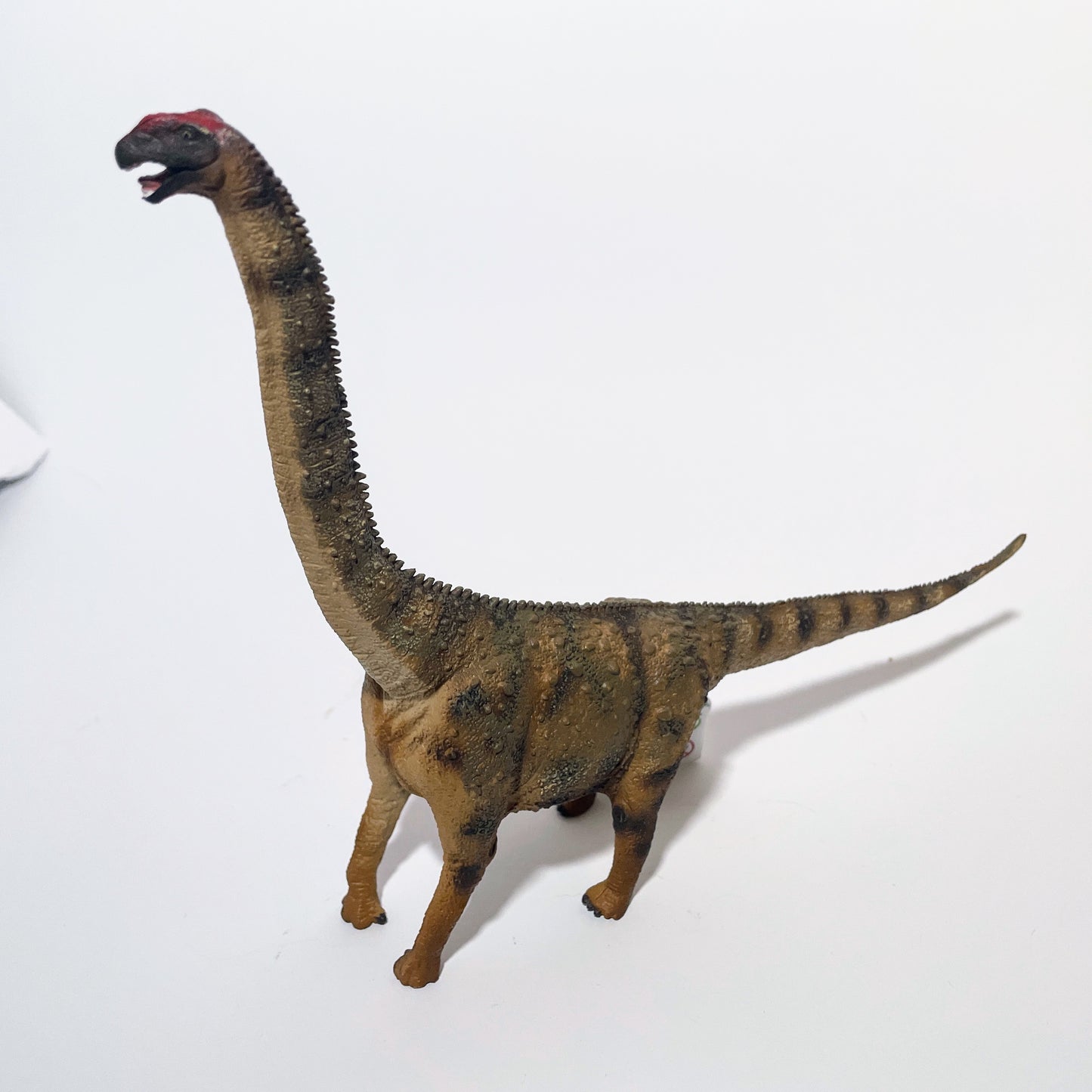 CollectA Argentinosaurus