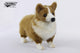 Charming Hansa Creation Corgi Dog Plush Toy - Realistic and Adorable Welsh Corgi Stuffed Animal - Bamsedyra