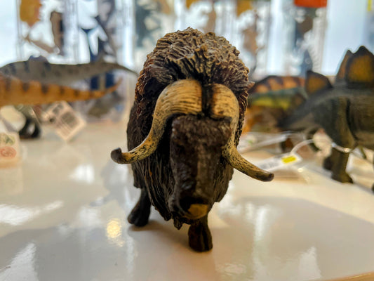 CollectA Musk Ox