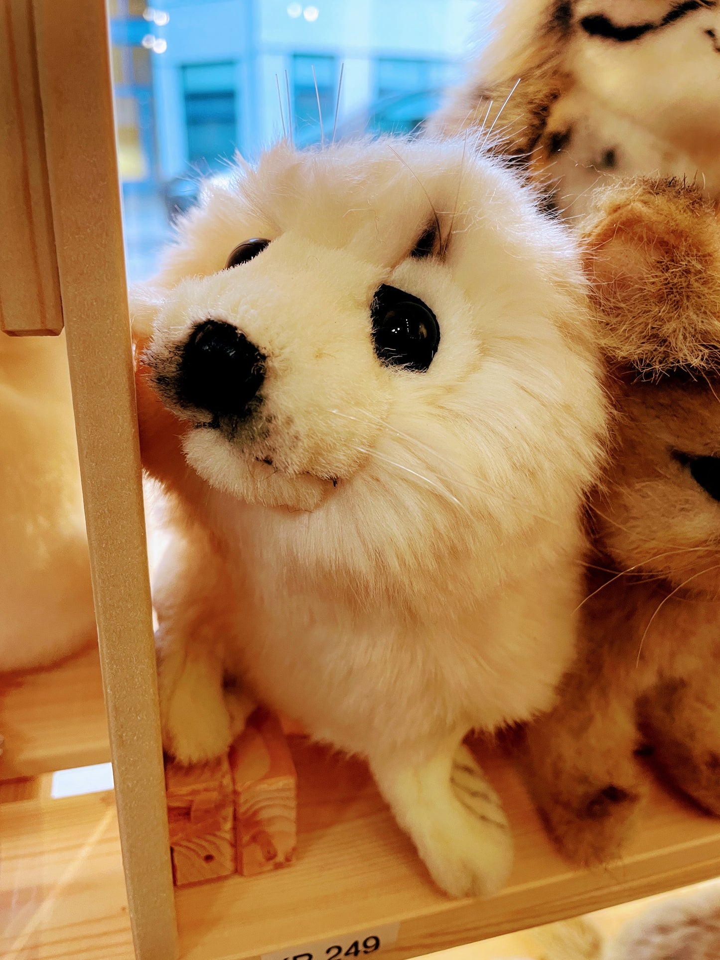 White Seal Plush - 29 cm by Hansa Creation - Coming 01.11.24