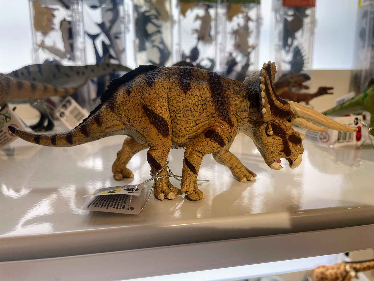 CollectA Triceratops Figure