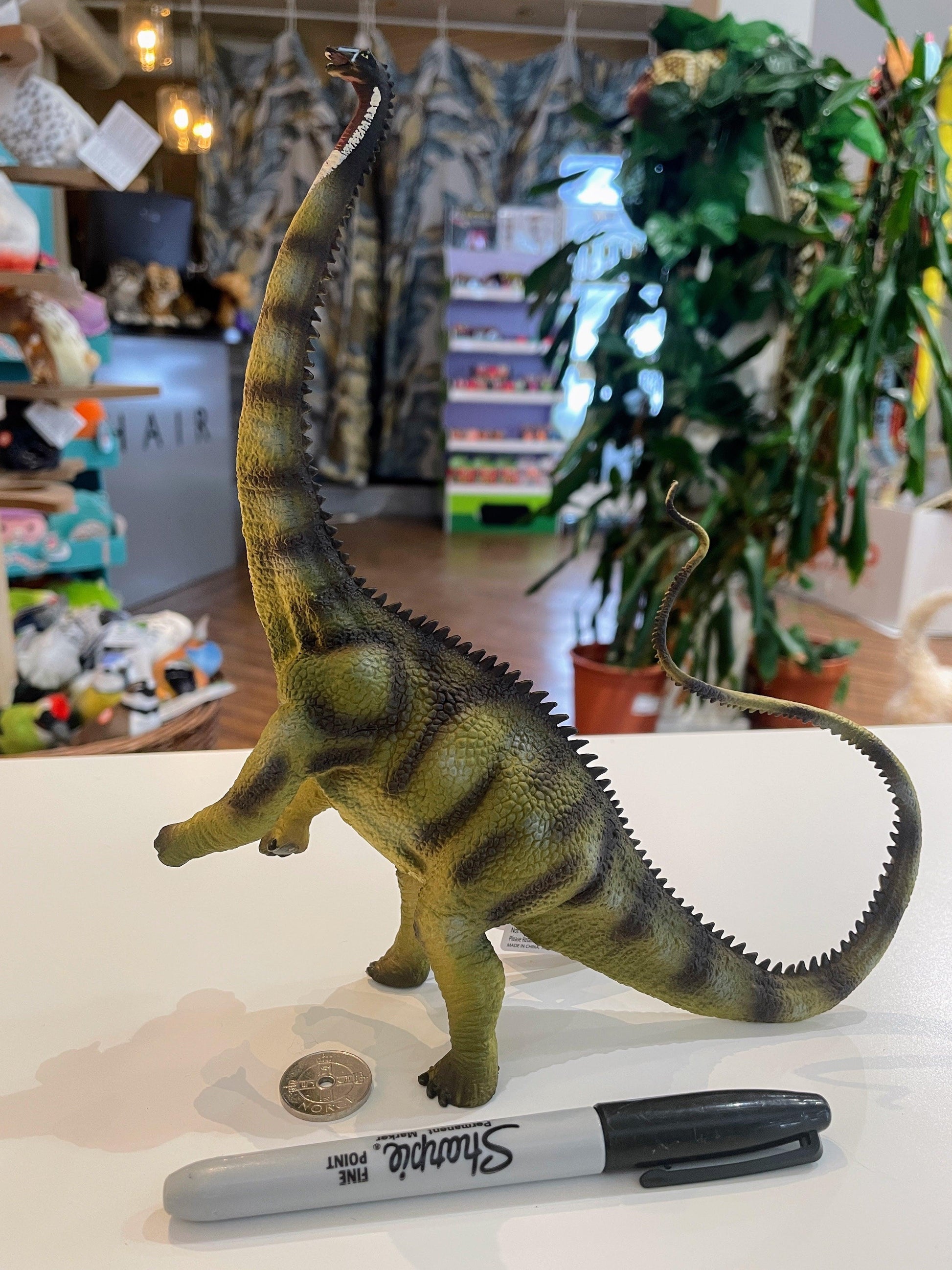 CollectA Diplodocus Figure (Extra Large) - Realistic and Detailed Dinosaur Replica in Green - Bamsedyra