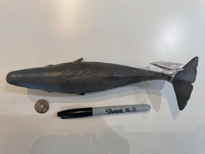 Sperm Whale Model