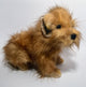 Hansa Creation Norfolk Terrier