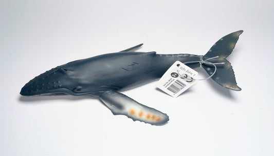 CollectA Humpback Whale