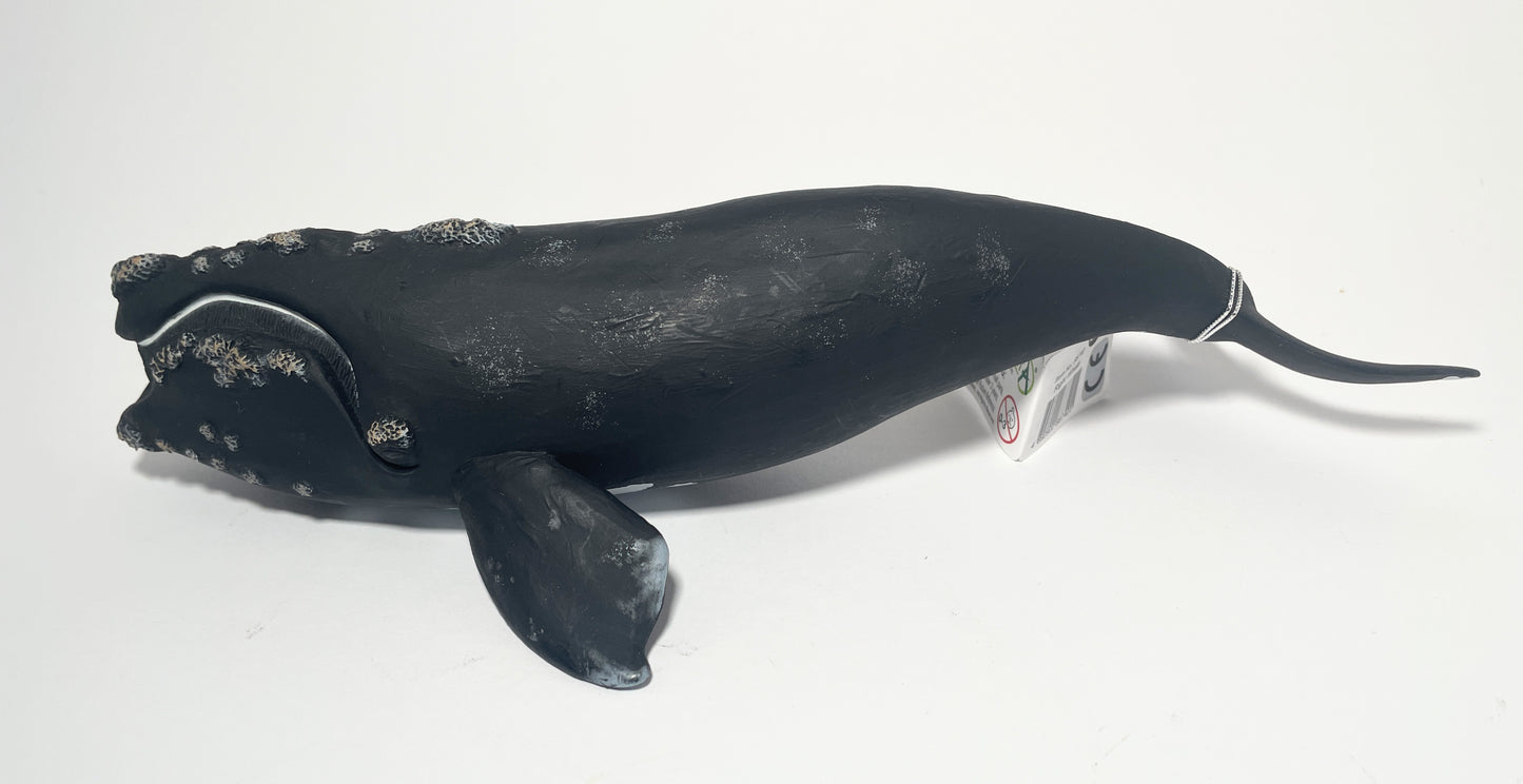 CollectA Right Whale