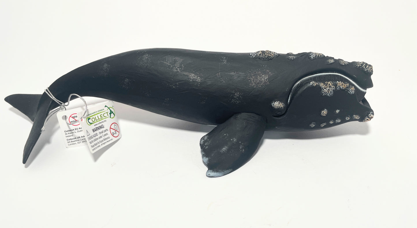 CollectA Right Whale