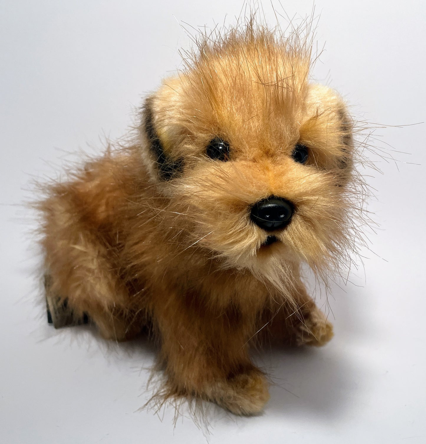 Hansa Creation Norfolk Terrier