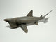 CollectA Basking Shark