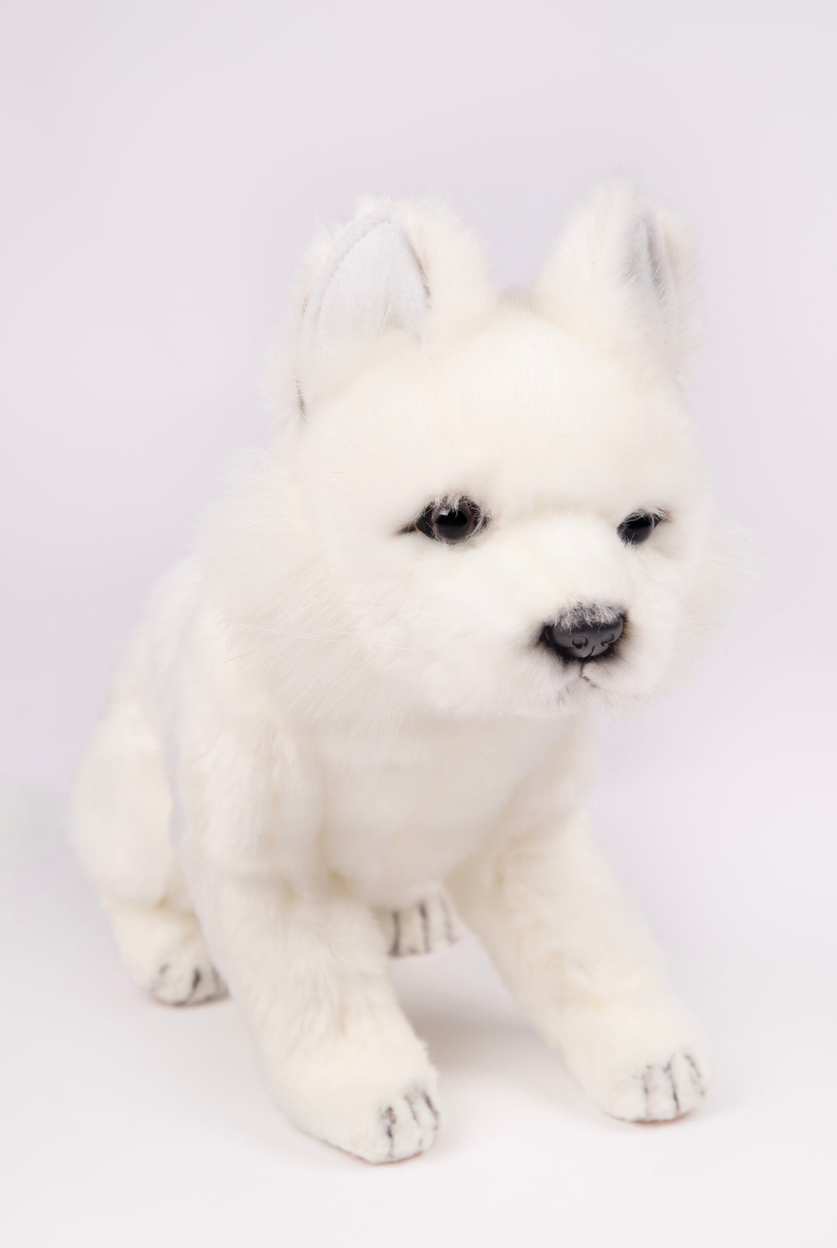 Snow Fox Puppy Sitting 25 cm | Hansa Creation - Bamsedyra AS
