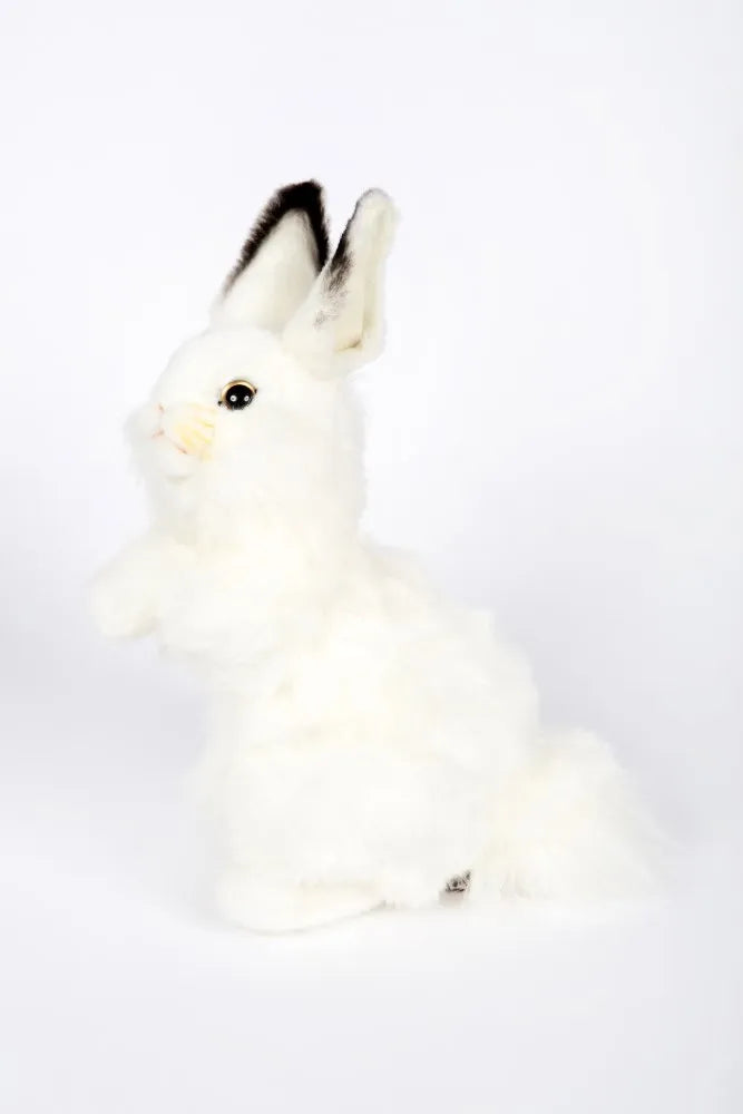 White Rabbit Plush - 32 cm by Hansa Creation - Coming 01.11.24