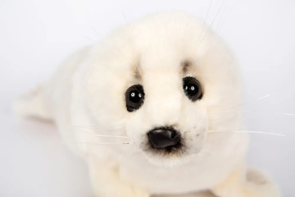 White Seal Plush - 29 cm by Hansa Creation - Coming 01.11.24